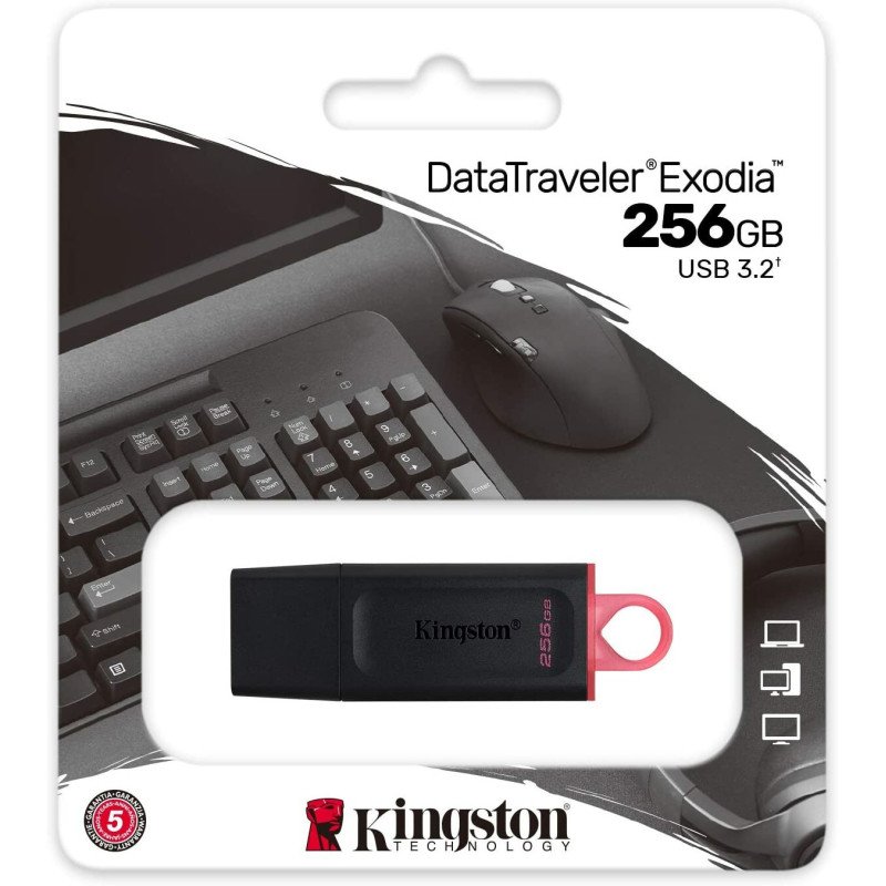 Clé USB 3.2 Kingston DataTraveler Exodia 256 Go