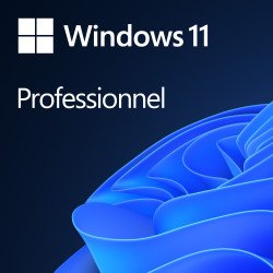 Ordinateur : Bureautique Pro, 8 Go DDR4, SSD 240Go, W11 Pro