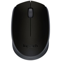 Souris sans fil Logitech wireless mouse optical M171