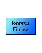 Réseau filaire